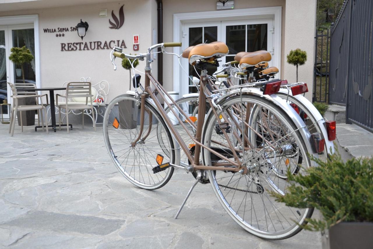 Willa Sepia Spa Wisła Kültér fotó